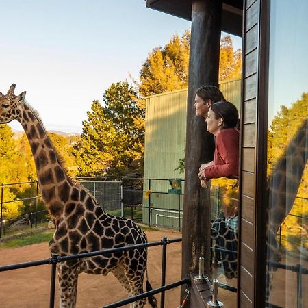 Jamala Wildlife Lodge Kanberra Dış mekan fotoğraf