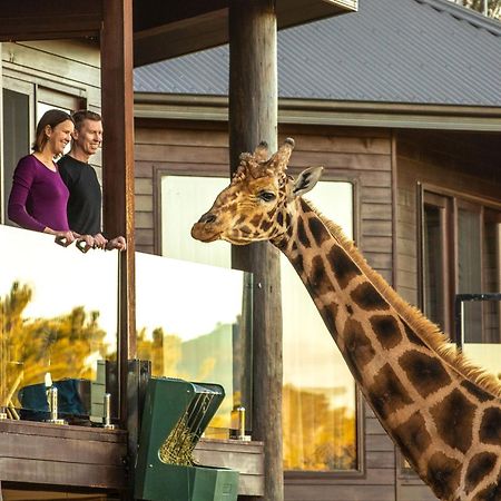 Jamala Wildlife Lodge Kanberra Dış mekan fotoğraf