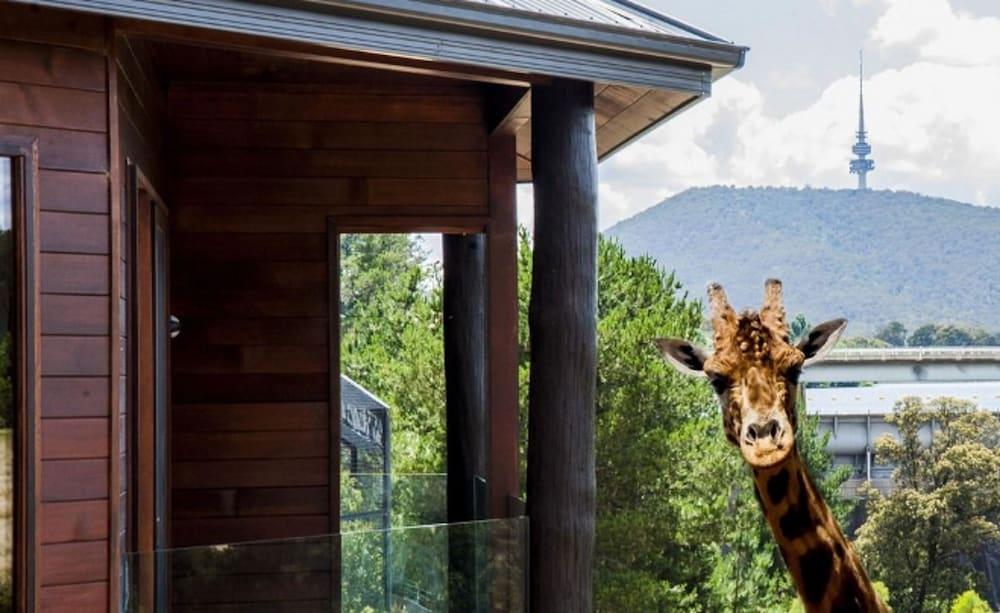 Jamala Wildlife Lodge Kanberra Dış mekan fotoğraf