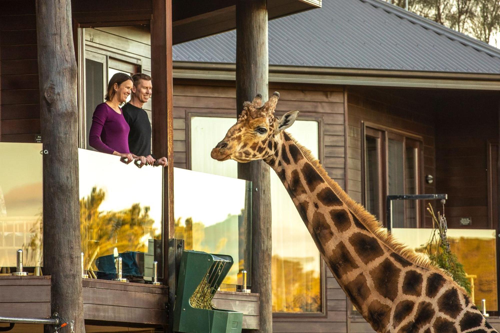 Jamala Wildlife Lodge Kanberra Dış mekan fotoğraf